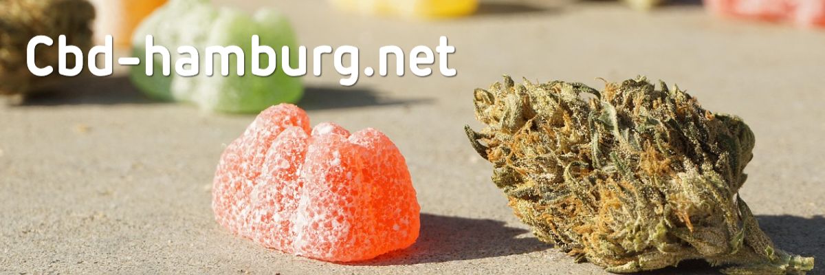 cbd-hamburg.net